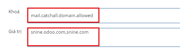 Bộ tham số hệ thống mail.catchall.domain.allowed với khóa và giá trị được làm nổi bật.