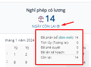Một cái nhìn về các chi tiết đầy đủ của số dư thời gian nghỉ trong cửa sổ popover.